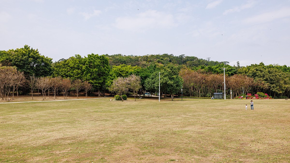 深圳秋天露營＋野餐 2026：羅湖／福田／南山 9 個公園帳篷區（免費、附地鐵出口）