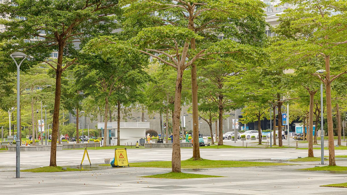 深圳書城 2026：中心城、羅湖城、南山城、龍華城 8 間書城全部免費入場（地鐵出口＋營業時間）