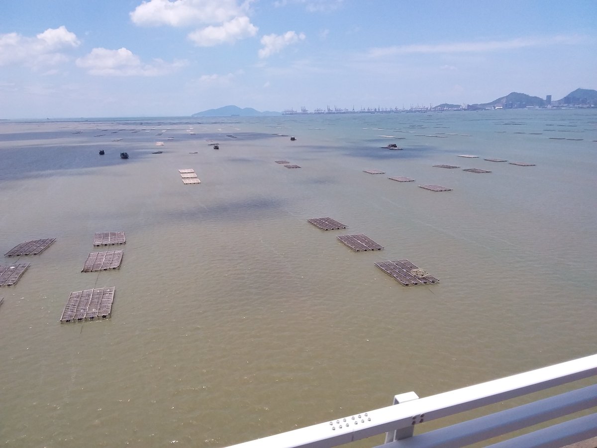 皇崗口岸跨境直通巴士總站，口岸直通巴士上落客情況