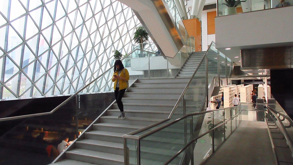 Shenzhen Free Libraries 2026: Shenzhen Library, Nanshan Library, Luohu District Library — Opening Hours and Border Crossing Transport