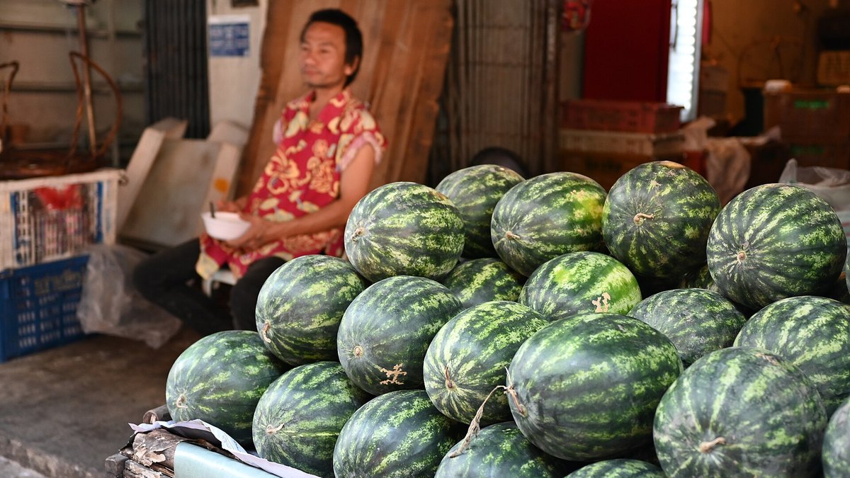 Shenzhen Fruit Wholesale Markets 2026: 5 Major Spots Including Haijixing, Futian Farm Wholesale, Buji and Nanshan (Hong Kong vs Shenzhen Price Comparison)