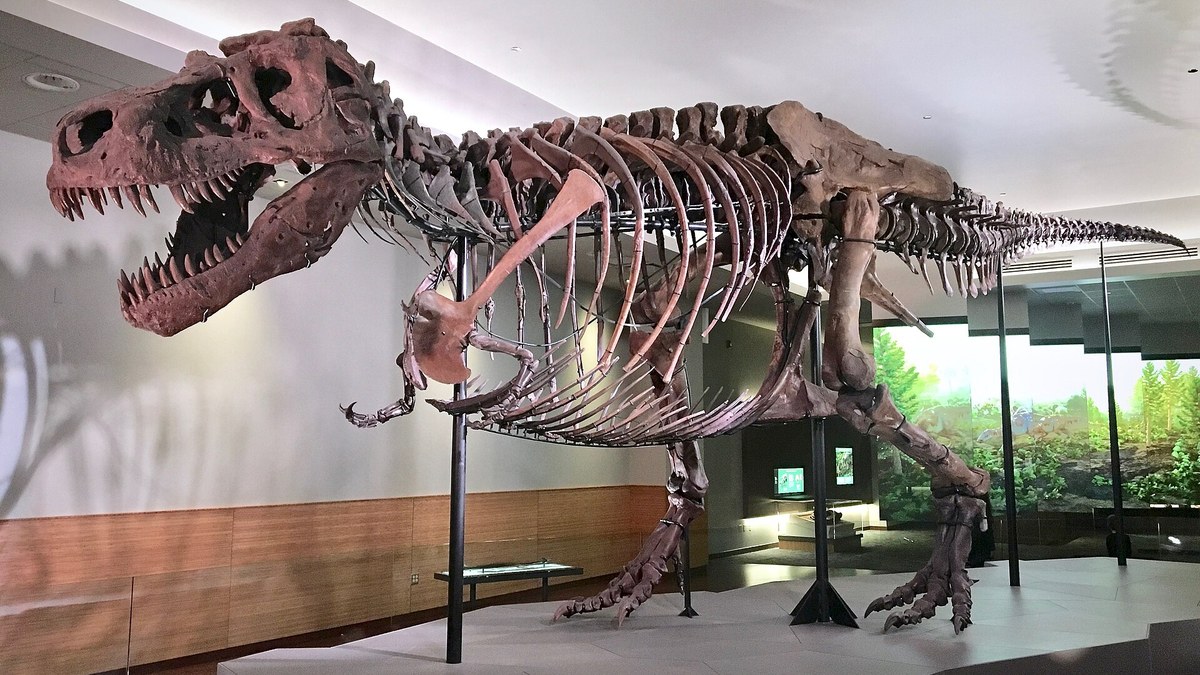Shenzhen National Day 2026 Dinosaur Giant Screen Immersive Experience: Prehistoric Planet Dinosaur Edition Lands at Shenzhen Bay MixC