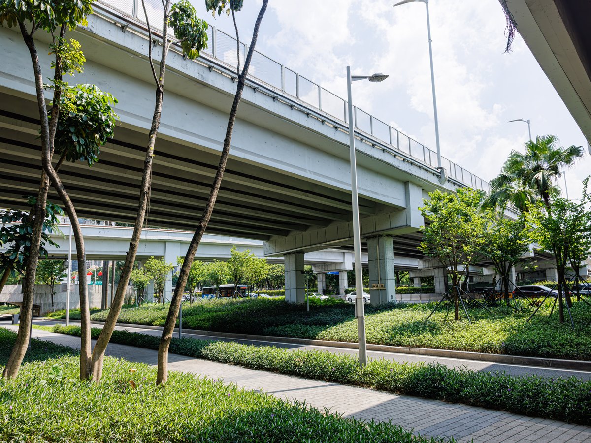 Binhai Boulevard in Shenzhen, one of the corridors where robotaxis operate